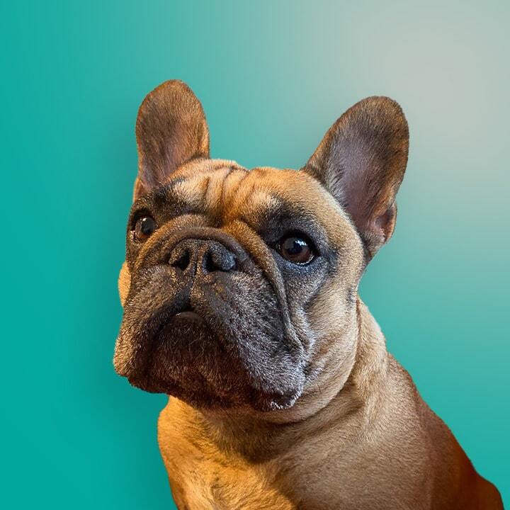 Archie